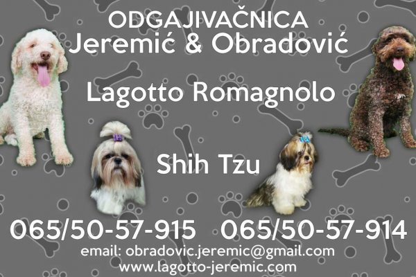 Что такое кракен сайт