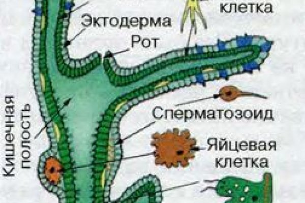 Kraken адрес onion