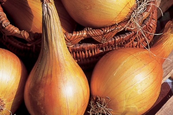 Купить наркотики онлайн