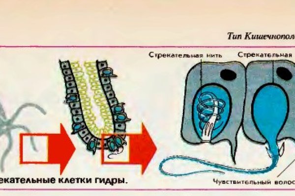 Кракен даркнет тор