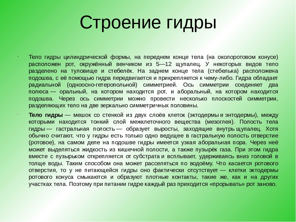 Кракен купить гашиш